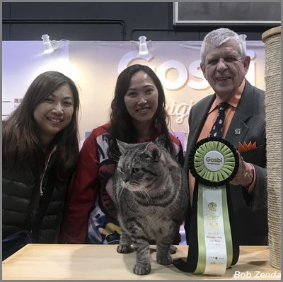Tiger Baby - Best HH Pet